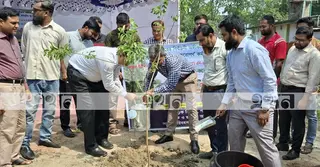 পাবনায় বৃক্ষরোপণ কর্মসূচির উদ্বোধন